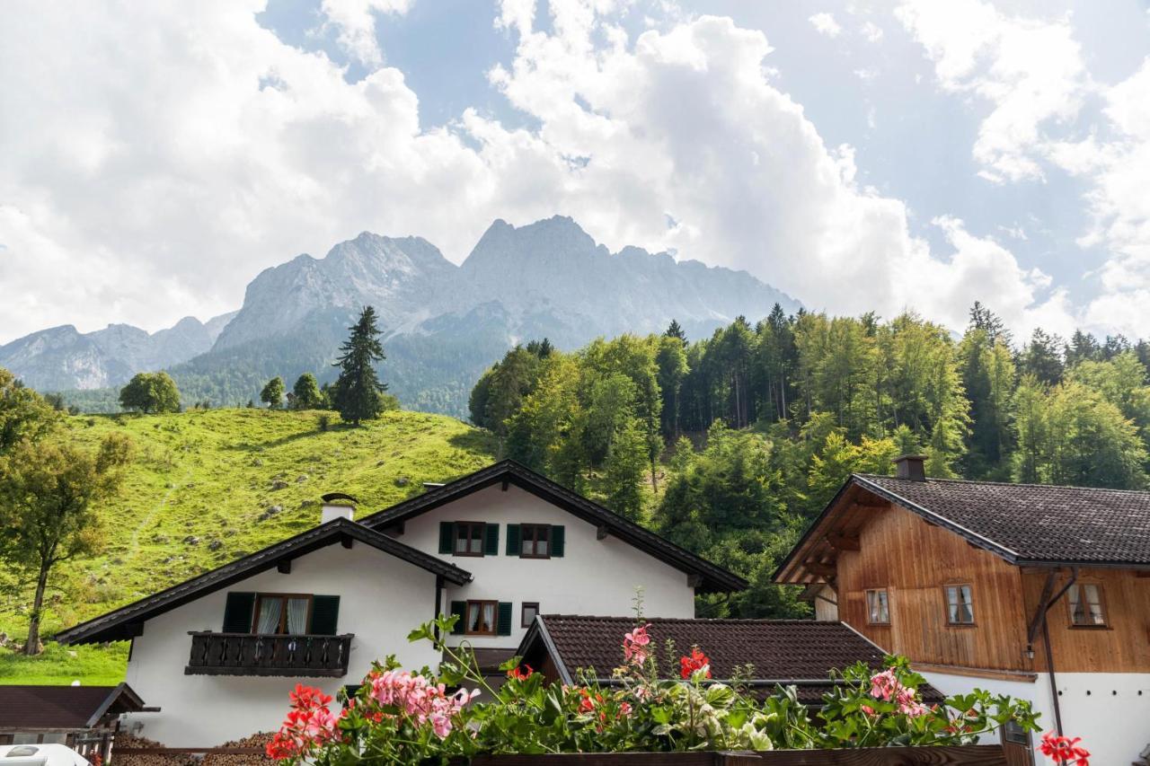 Ferienwohnung Edelweiss グライナウ エクステリア 写真