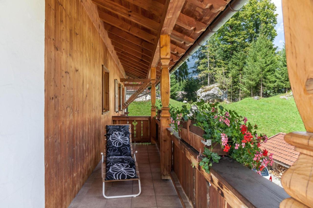 Ferienwohnung Edelweiss グライナウ エクステリア 写真