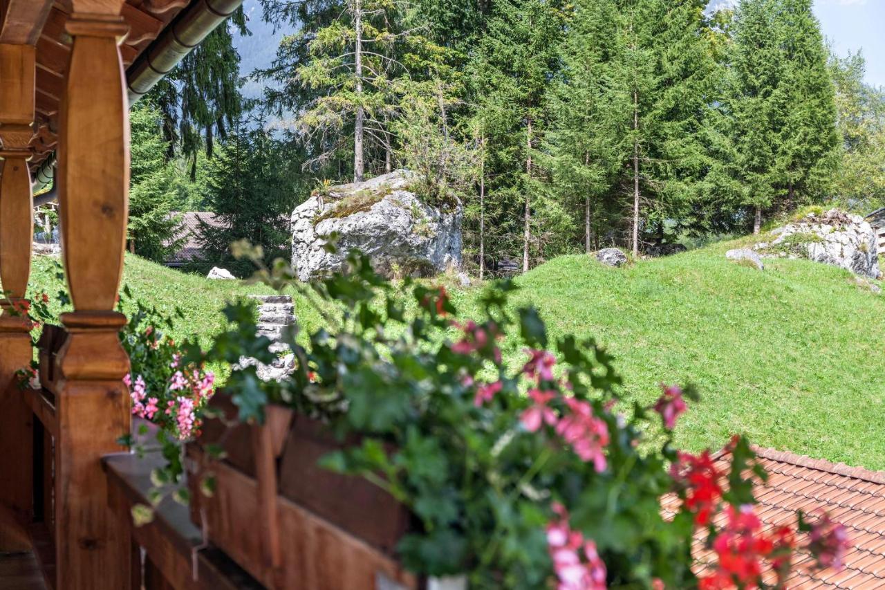 Ferienwohnung Edelweiss グライナウ エクステリア 写真
